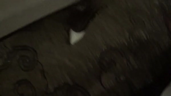 宾馆开房约美女打几圈麻将然后穿上制服黑网袜玩3P这场面看着是真刺激720P高清